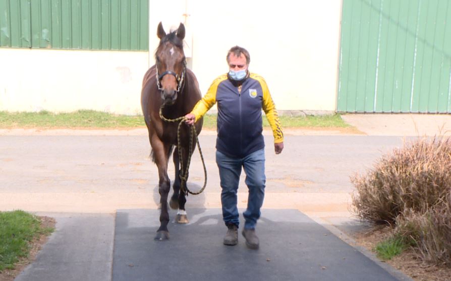 Two Coffs Trainers into Kosciuszko